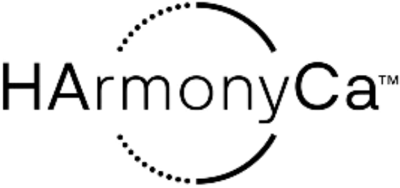 Design-sem-nome-2023-06-22T133746.309-1.png